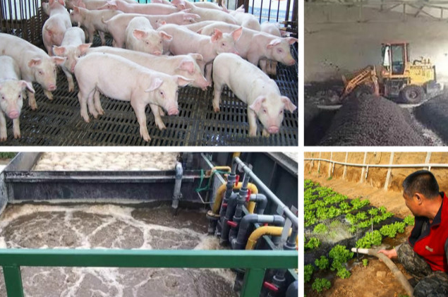 養(yǎng)殖污水處理一體設(shè)備多少錢？養(yǎng)殖污水處理方法