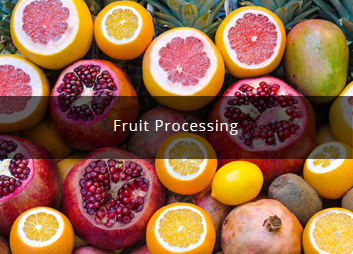 食品廠污水處理新思路，印度食品污水處理經(jīng)驗淺析01