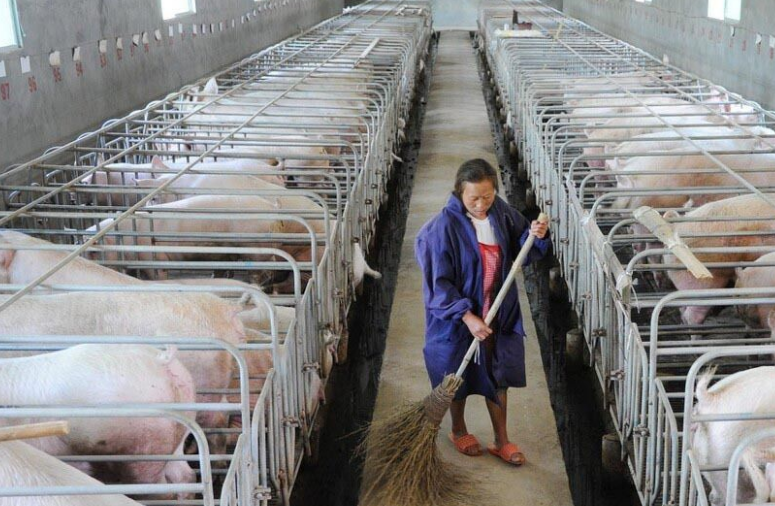 畜牧污水處理設(shè)備哪家好，養(yǎng)殖污水處理設(shè)備哪家好