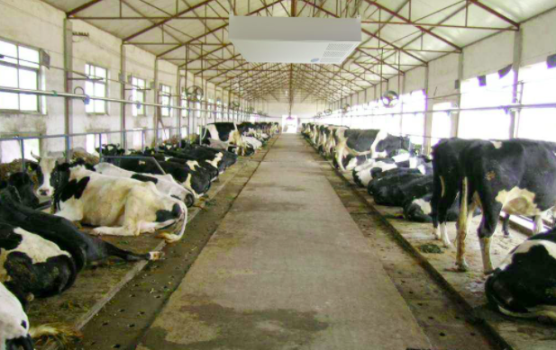 養(yǎng)殖屠宰污水處理設(shè)備使用前，要注意這兩點！01