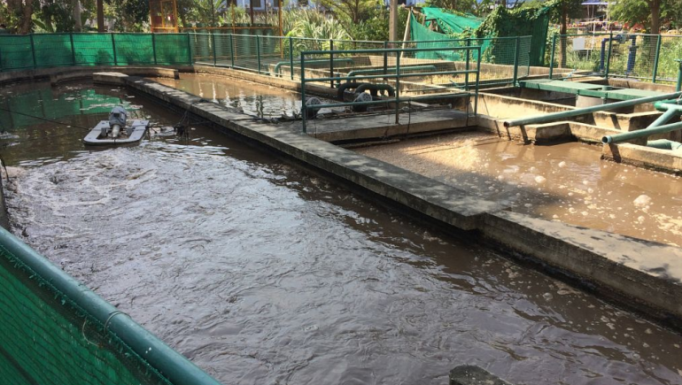 食品加工污水處理流程有哪些？如何更好的處理食品廢水？