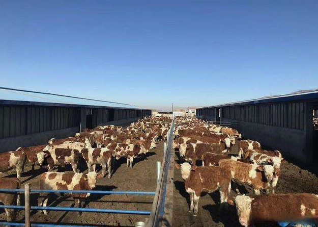 養(yǎng)殖場(chǎng)污水直接排放會(huì)面臨哪些處罰？JPEG.2