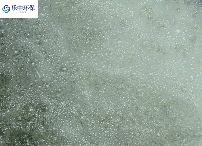 溶氣氣浮機(jī)泡沫多什么原因？如何解決？
