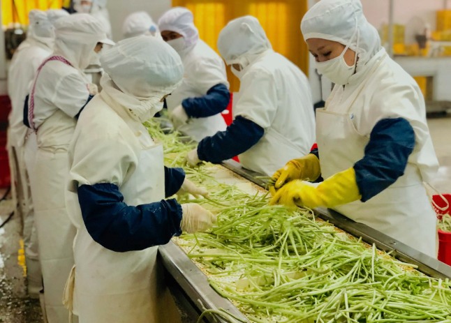 三種食品污水處理設(shè)備工藝流程，看看哪種適合您？