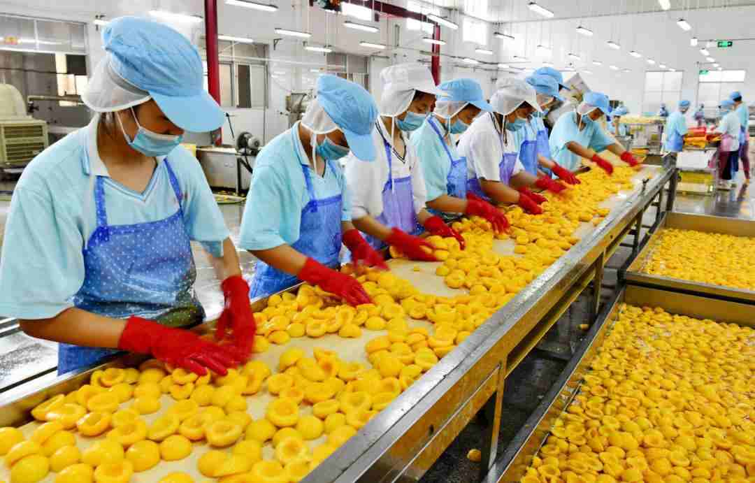 罐頭加工廠廢水處理設備|方法|排放標準-1 罐頭加工廠廢水處理設備|方法|排放標準-1