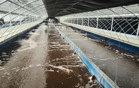 畜禽污水處理的方法、步驟（主流畜禽污水處理工藝有哪些）