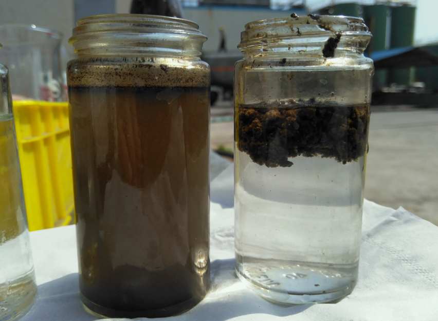 AO工藝出水SS高什么原因|怎么辦？